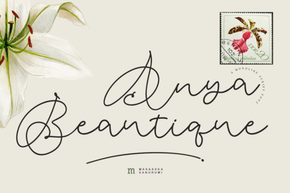 Anya Beautique: A Modern Script Font That Feels Effortlessly Refined