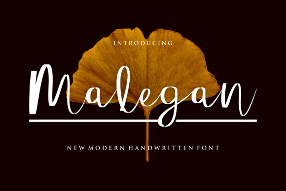 Malegan: A Refined Script Font for Real Small Business Branding